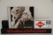 Steven Tyler Aerosmith signed autographed CD Cover PAAS COA 075