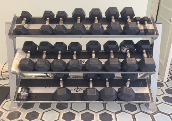 Dumbbells and Dumbbell Rack - 20 lbs to 65, 5 lbs and one 15 lb -670lb +