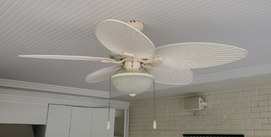 Hunter Ceiling Fans