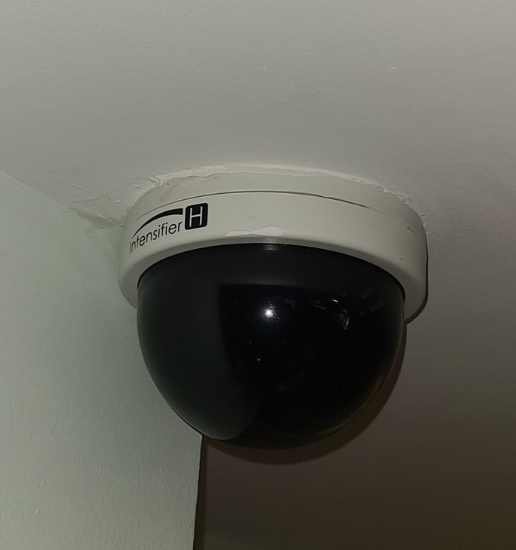 Security Cameras by Intnsifer - all over the property