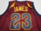 LeBron James of the Cleveland Cavaliers signed autographed basketball jersey TAA COA 444