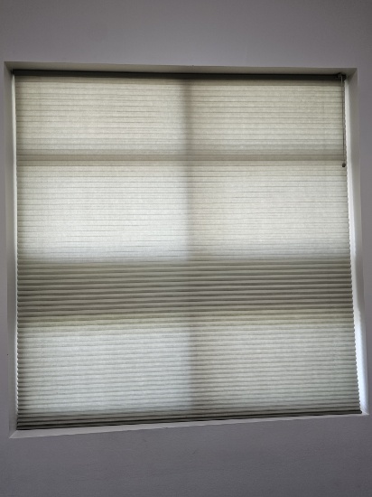 58" Window Blinds
