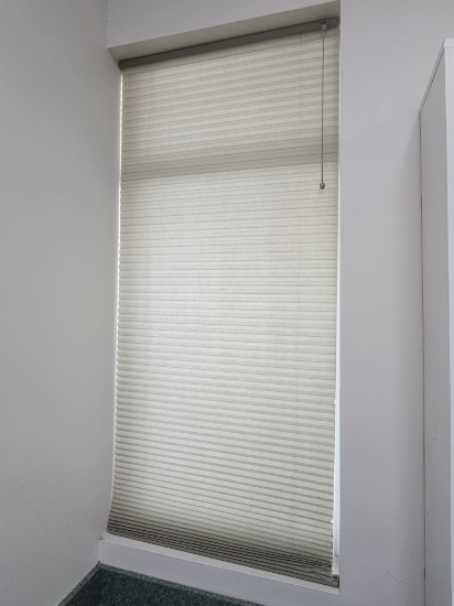27" Window Blinds