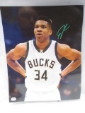 Giannis Antetokounmpo of the Milwaukee Bucks signed autographed 8x10 photo PAAS COA 261
