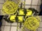 Ryobi 1,900 PSI Pressure Washer with Wans