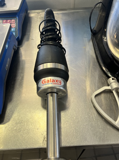 Galaxy 8" Immersion Blender