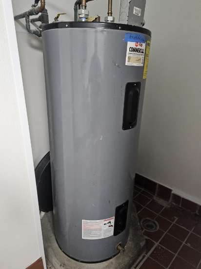 Ruud ELD80-B 80Gal Water Heater