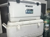 Igloo Coolers