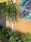 Outdoor trees and planters