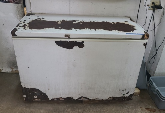 Commerical Freezer - 51 in