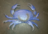 Blue Crab in Metal - 24 in Wide