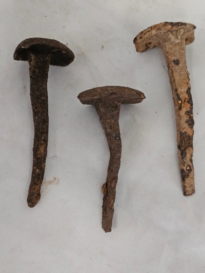 1st Century A.D. Jerusalem - Caesarea Iron Nails