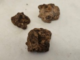 Iron Ingots Found at Lithuania Battleground