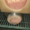 Metal bowl - new