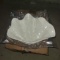 Seashell serving dish, white resin