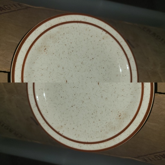 Dinner plate, white speckle with brown rim by Ultima