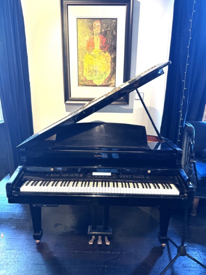 Kohler Digital Baby Grand player Piano. The Piano lights up and powers up but cannot get sound out o