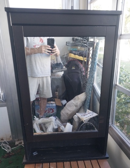 Mirrored Wooden Cabinet - 23.5 x 39.5 in - no interior shelves