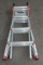 Little Giant Ladder 300lb capacity