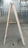 Werner 6 ft Ladder