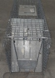 Raccoon Trap
