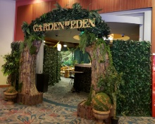 Garden of Edna - 13 x 13 ft