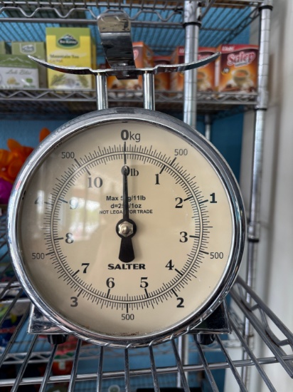 SALTER 11 LB Counter Top Scale - Manual Scale