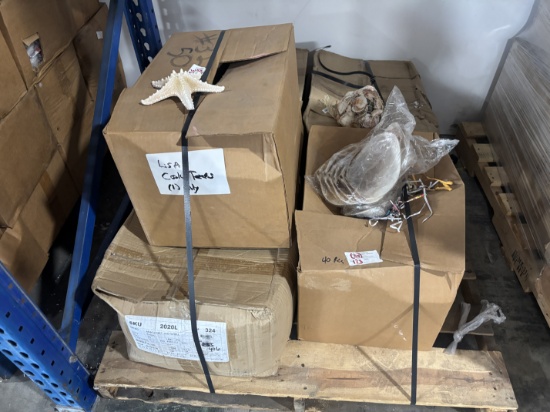Large Pallet Lot of Sea Shells Star Fish - Misc Shell Decor & More
