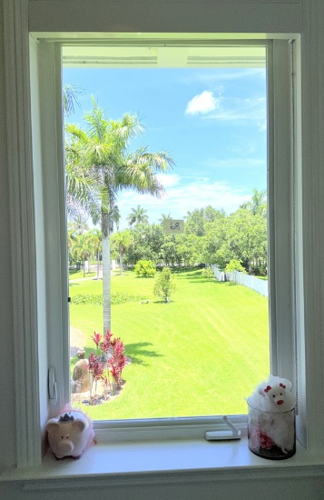 Impact Window, Grey Tint, 36" X 72", Aluminum Casing, Professionally Removed
