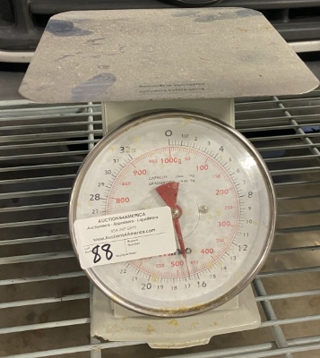 Scale