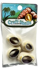 *SHELL-CUT COWRIE (3x3) - Location 038-004