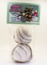 CHEENA CLAM-#3 BULK-LB - Location 039-015B