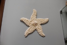 ARMOURED STARFISH 4-5"-NATURAL - Location 039-022