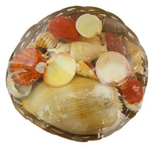 12" MIDRIB BSKT SHELL PACK - Location 039-025B