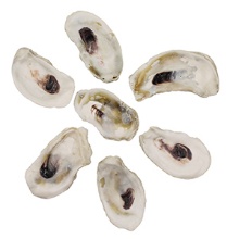 OYSTER SHELL FLAT 3-4"-BULK - Location 040-015
