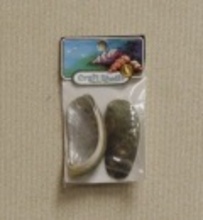 DONKEY EAR ABALONE N/L - Location 041-150
