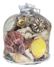 DESIGNER SHELL GIFT BAG-VB - Location 038-020