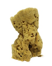 VASE SPONGE 8" - Location 038-029