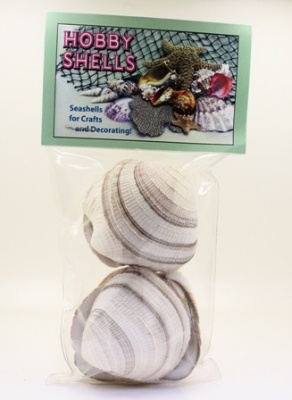 Cheena Clam-#3 Bulk-Lb