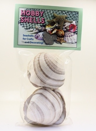 CHEENA CLAM-#3 BULK-LB - Location 039-036