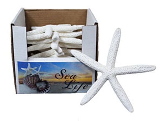 *STARFISH-FINGER STAR 7-8" - Location 045-034