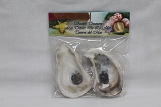 OYSTER SHELL FLAT 2-3"-BULK - Location 051-006B