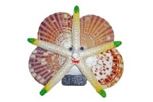 CERAMIC MAGNET 2 CM (SM)