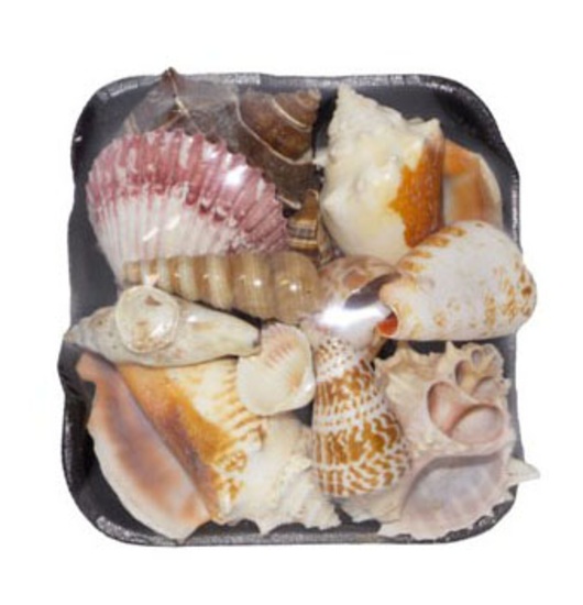 1-S SHELL PACK