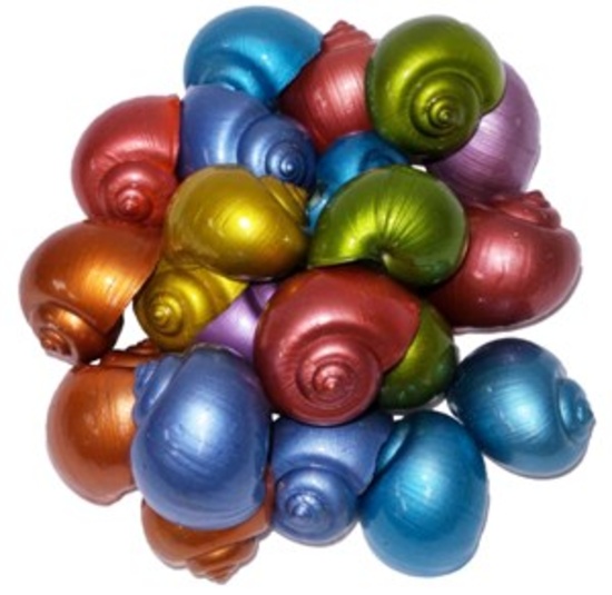 DYED METALLIC LG APPLE SNAIL C