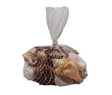 *LG DELUXE SHELL BAG-AC
