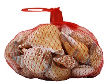 *NET BAG-SHELLS