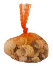 NET BAG SHELLS