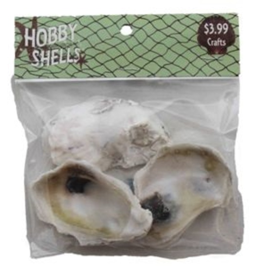 #A OYSTER SHELLS-XLG