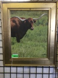 FRAMED PHOTO ON CANVAS OF TEXAS LONGHORNS (16